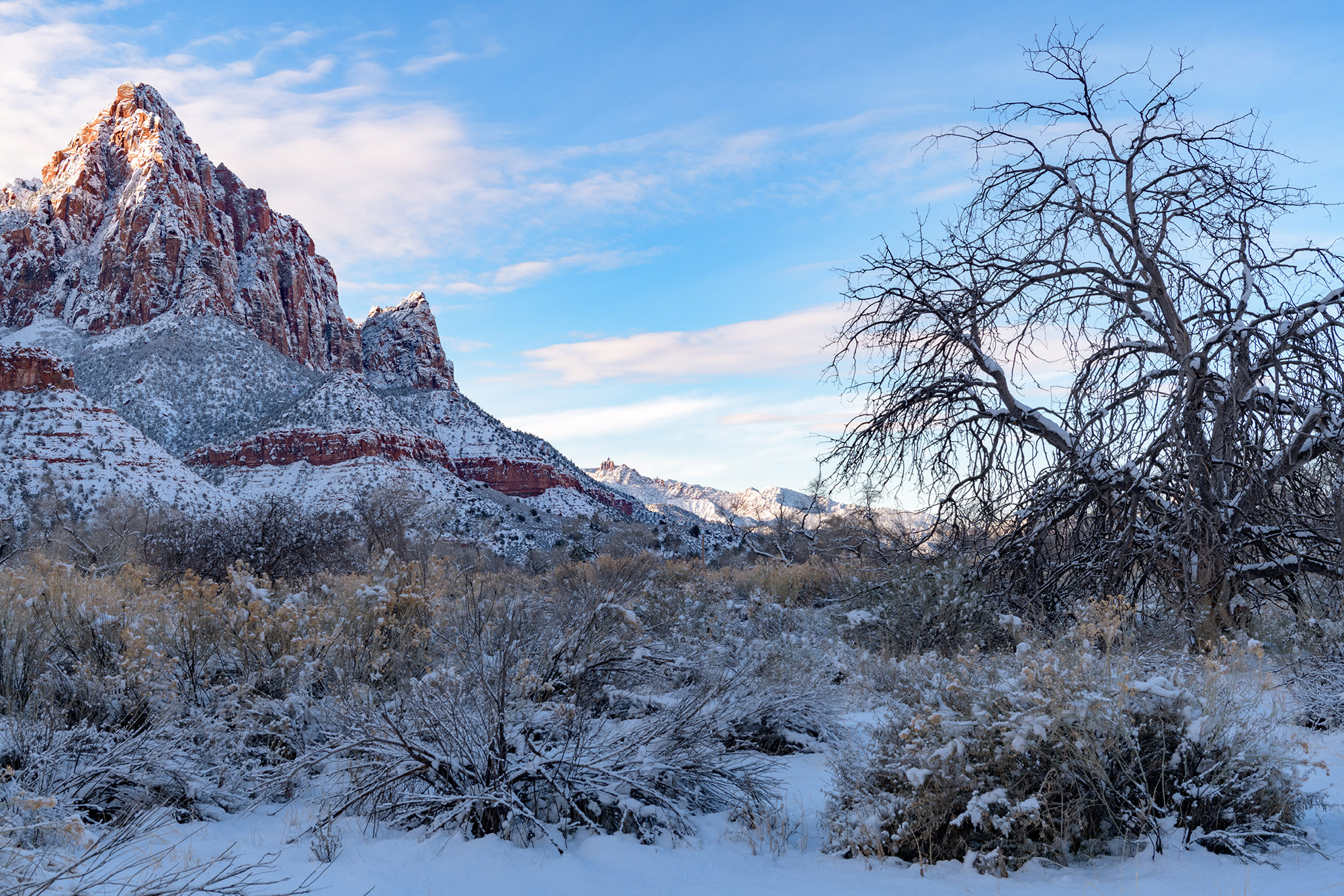 Chasing snow at Zion National Park: How to market a unique experience